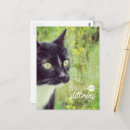 Pesquisar por negro cartoes postais Gato
