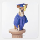 Pesquisar por chihuahua adesivos Assento