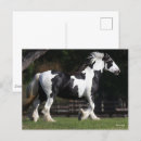 Pesquisar por black and white cartoes postais Animal