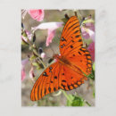 Pesquisar por pad cartoes postais Flores
