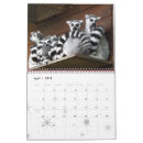 Pesquisar por data de calendarios Neighbour