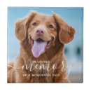 Pesquisar por memorial azulejos Na memória amorosa