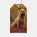 Pesquisar por terrier etiquetas de presente Cachorro