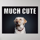 Pesquisar por pet pôsteres pósteres Cachorros