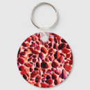 Pesquisar por seixo chaveiros Natureza