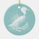 Pesquisar por pato branco ornamentos Aves