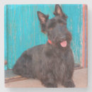 Pesquisar por orelha porta copos Danita delimont