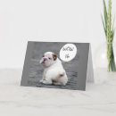 Pesquisar por bulldog cartoes Engraçado