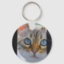 Pesquisar por gato de bengal chaveiros Gatos
