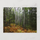 Pesquisar por ferme cartoes postais Para todos