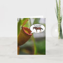 Pesquisar por o cavalo cartoes Natureza