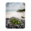 Pesquisar por tulum imas Praia