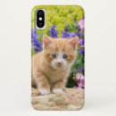 Pesquisar por gato do gatinho iphone capas Para ela