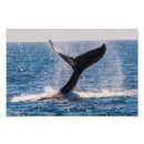 Pesquisar por fluxo fotografia Oceano