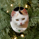 Pesquisar por imagens animais Para pets
