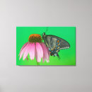 Pesquisar por girassol e borboleta artes molduras Ouro