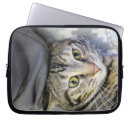 Pesquisar por tigre capas Cinza