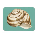Pesquisar por striped imas Natureza