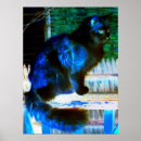 Pesquisar por dimensões pôsteres pósteres Azul