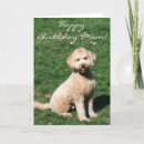 Pesquisar por goldendoodle cartoes Dourada