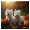 Pesquisar por west highland white terrier pósteres Animal
