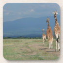 Pesquisar por giraffa porta copos Kenya