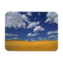 Pesquisar por washington imas Amarelo