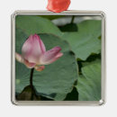 Pesquisar por minho ornamentos Viagem