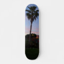 Pesquisar por palmeiras tropicais skates Florida