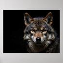 Pesquisar por lobos pósteres Cão