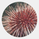 Pesquisar por gigantes adesivos Fotografia