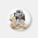Pesquisar por tri imas Cão