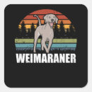 Pesquisar por do weimaraner adesivos Cachorro