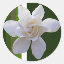 Pesquisar por capas florais adesivos Para ela