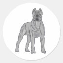 Pesquisar por cane corso adesivos Mastiff italiano