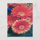 Pesquisar por pontilhado cartoes postais Qualquer pessoa