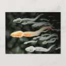 Pesquisar por esperma cartoes postais Biologia