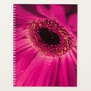 Pesquisar por foto agendas Flores