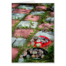 Pesquisar por humor da menopausa cartoes postais Envelhecimento