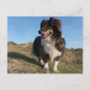 Pesquisar por pastor engraçado cartoes postais Qualquer pessoa