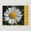 Pesquisar por silvestre cartoes postais Qualquer pessoa