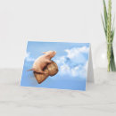 Pesquisar por porco engraçado cartoes postais Voando