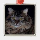 Pesquisar por casulo ornamentos Natal