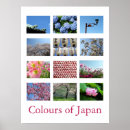 Pesquisar por viagem japão pôsteres pósteres Flor de cereja