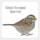 Pesquisar por pardal throated branco Natureza