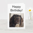 Pesquisar por cachorrinho do feliz aniversáaio cartoes Para ele
