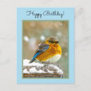 Pesquisar por bluebird cartoes postais Neve