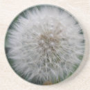 Pesquisar por erva daninha porta copos Dandelion