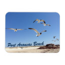 Pesquisar por foto da natureza imas Linda