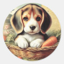 Pesquisar por beagle puppy adesivos Fofofo